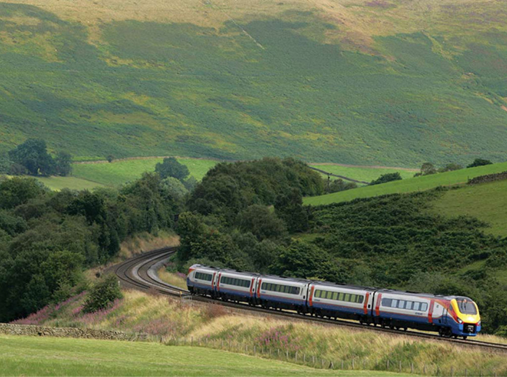 rail roads with beautiful green backdrop