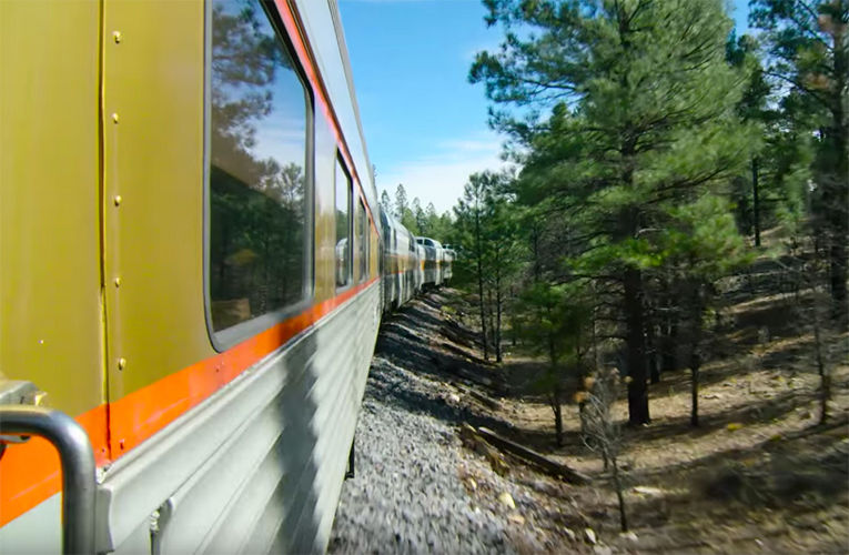 Train riding close to trees.