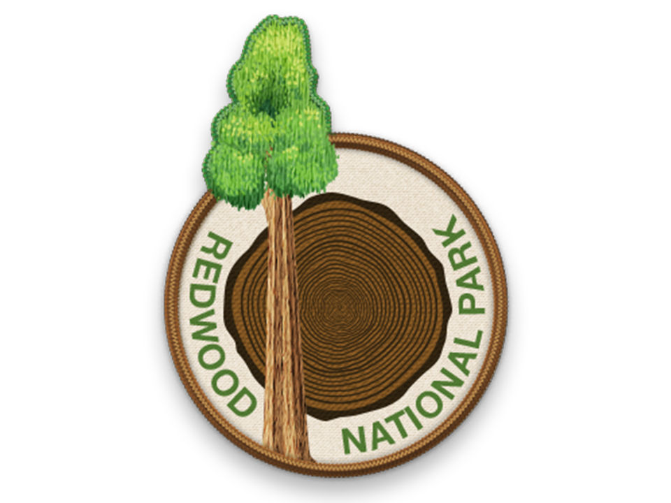 Redwood National Park