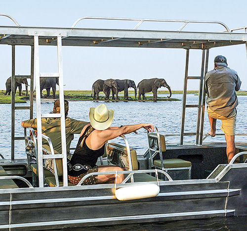 People viewing elephants on a river cruise in Africa or Thailand