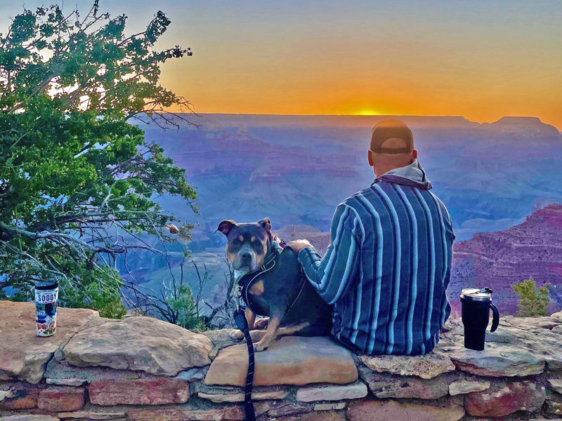 Road tripping with your furry companion