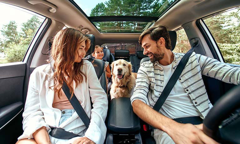 Family on road trip with their child and dog sitting in tne back seat.