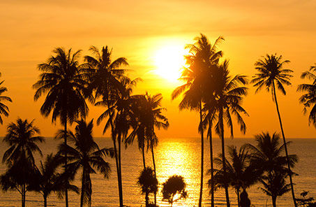 Caribbean sunset on teh beach with palm trees