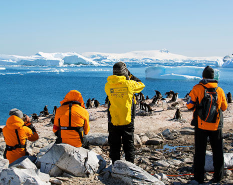 Watching penguins in Antarctica 
