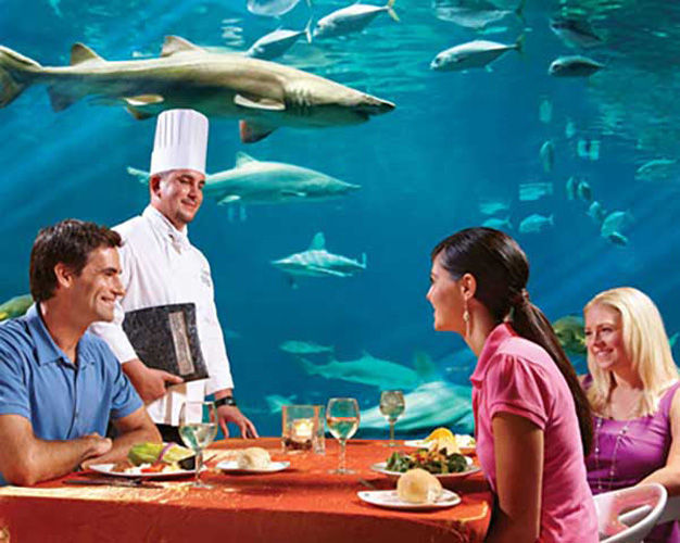 Couple dines out inside the aquarium at seaworld and can see fish and sharks swimming above them.