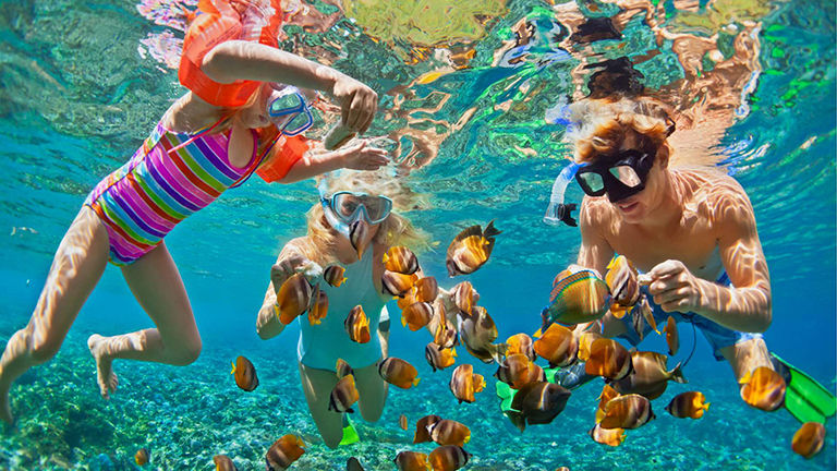 Snorkeling Family