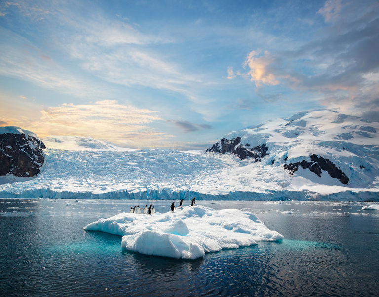 Penguins on an iceberg in Antarctica