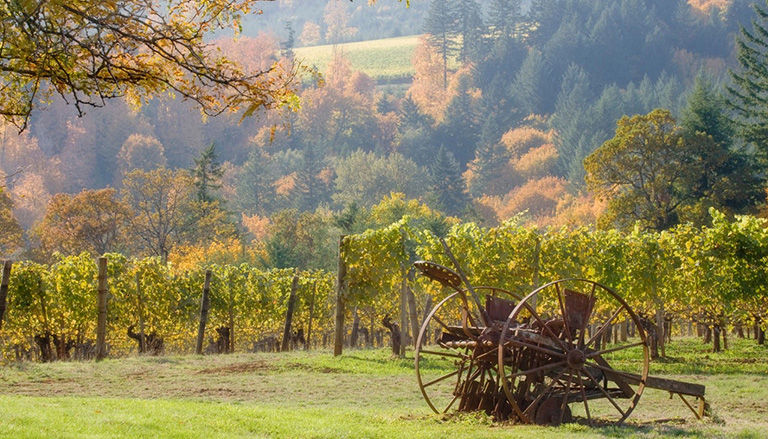 Sustainable journeys with AAA.