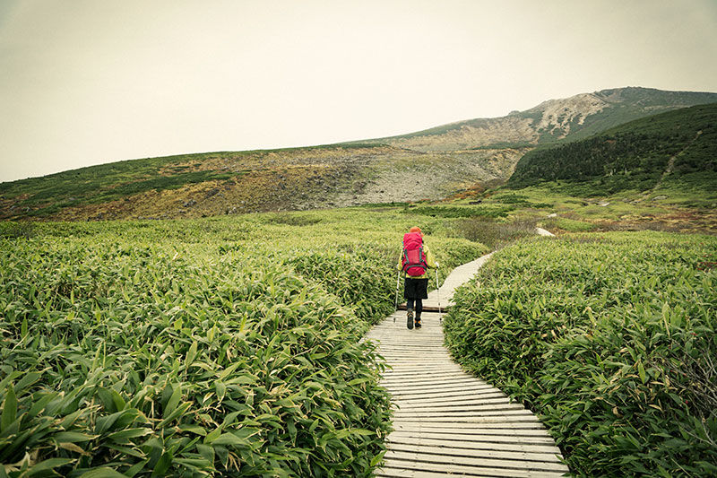 A hiker in Japan on a wooden walkway walking through a green field