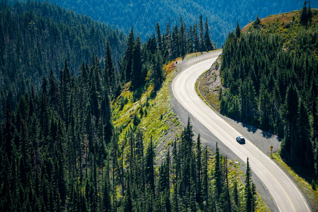 Cars on the Olympic National Park road. Idylic scene. Washington State, USA. 2019.