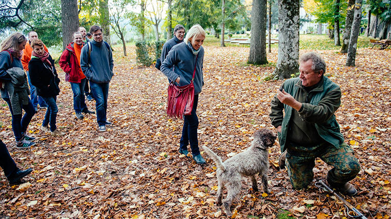 Truffle hunting activity in Italy.