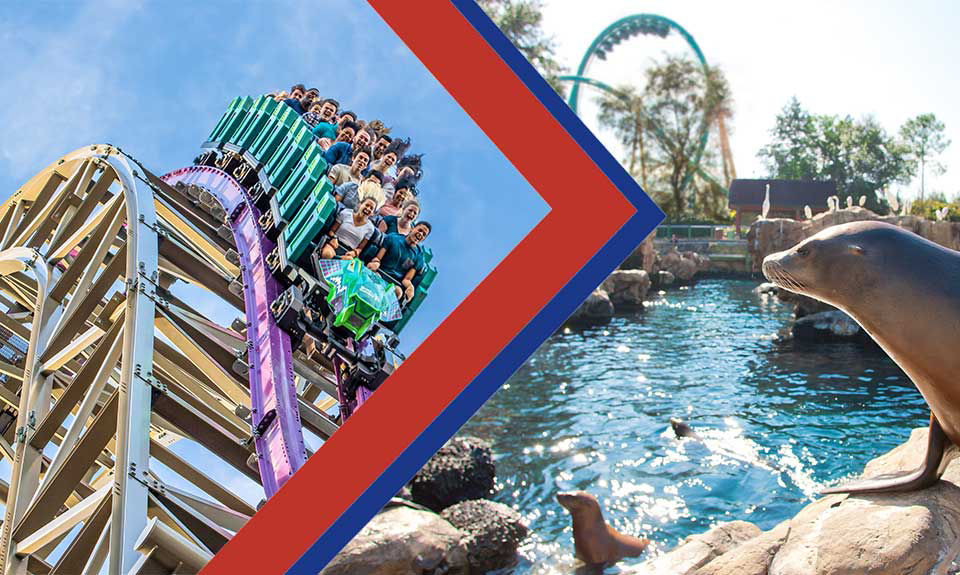 Two images seperated by a blue and red arrow. first image show a group of people coming downhill on a roller coaster. second image shows a group of seals swimming at seaworld.