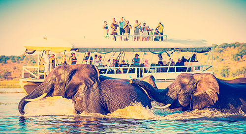 A family of elephants playing in the water next to a small ship of tourists.