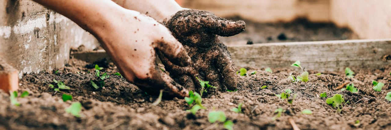 hands in dirt gardening