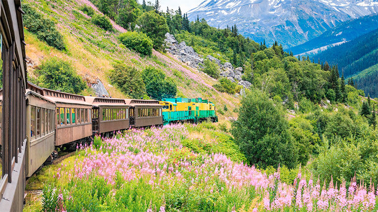 Yukon rail, Alaska