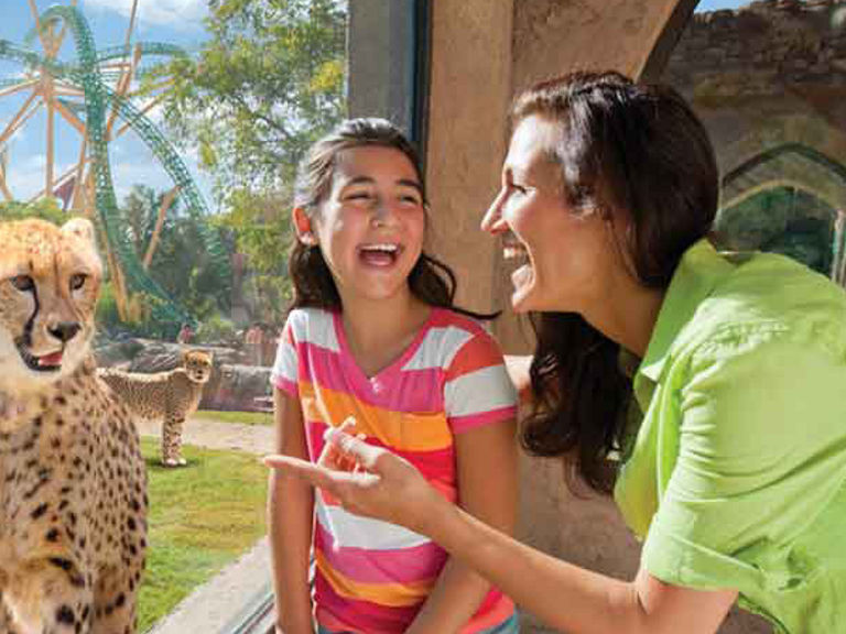 Busch Gardens Williamsburg Tickets Aaa Fasci Garden